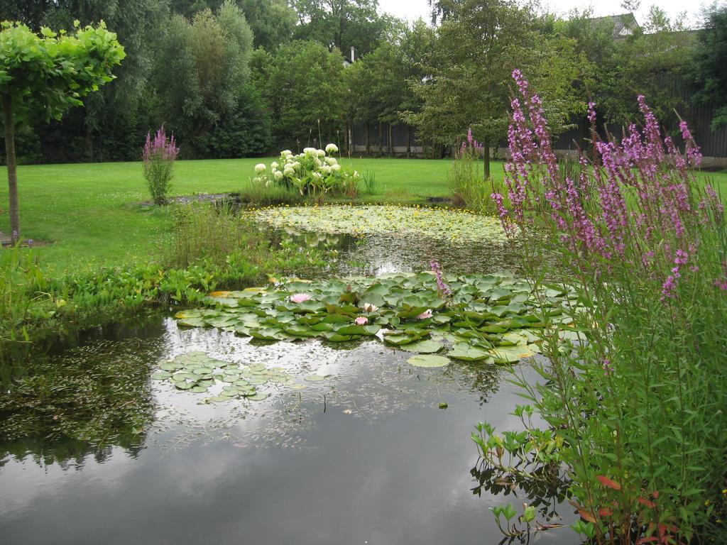 奥斯梅尔兰德住宿加早餐旅馆 Mijnsheerenland 外观 照片